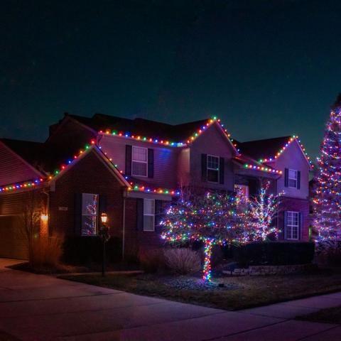 Christmas lights