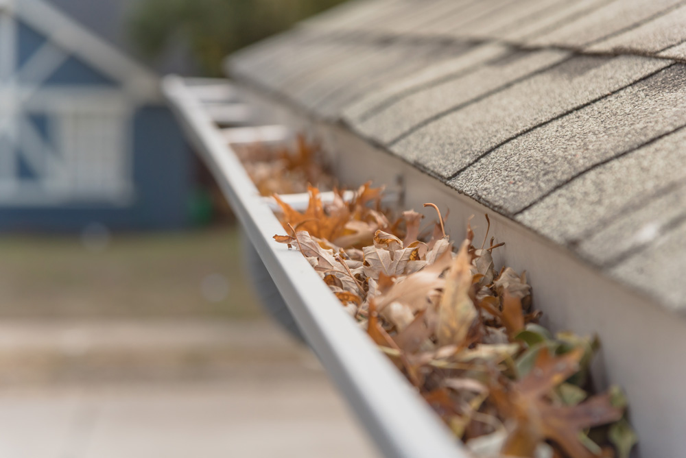 Gutter Cleaning